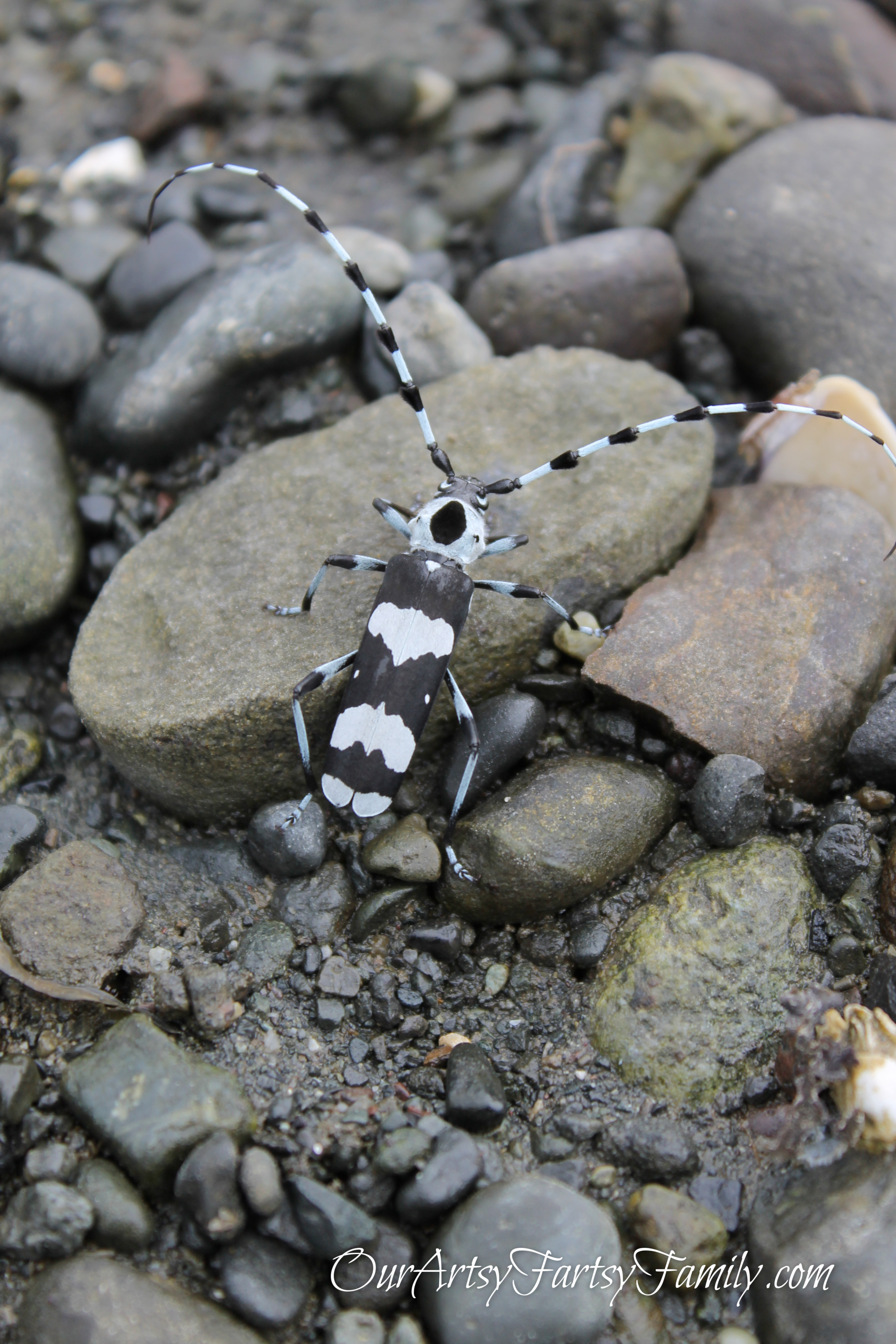 7-11-2019 Potlatch Artsy IMG_1098