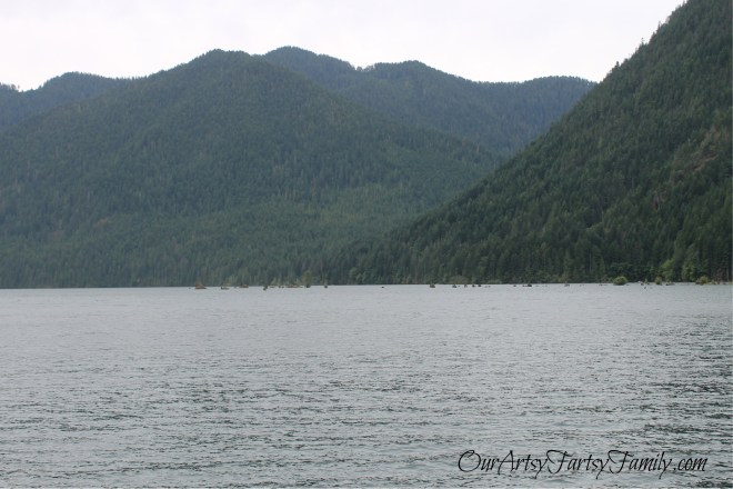 7-11-2020 Lake Cushman Artsy IMG_1051