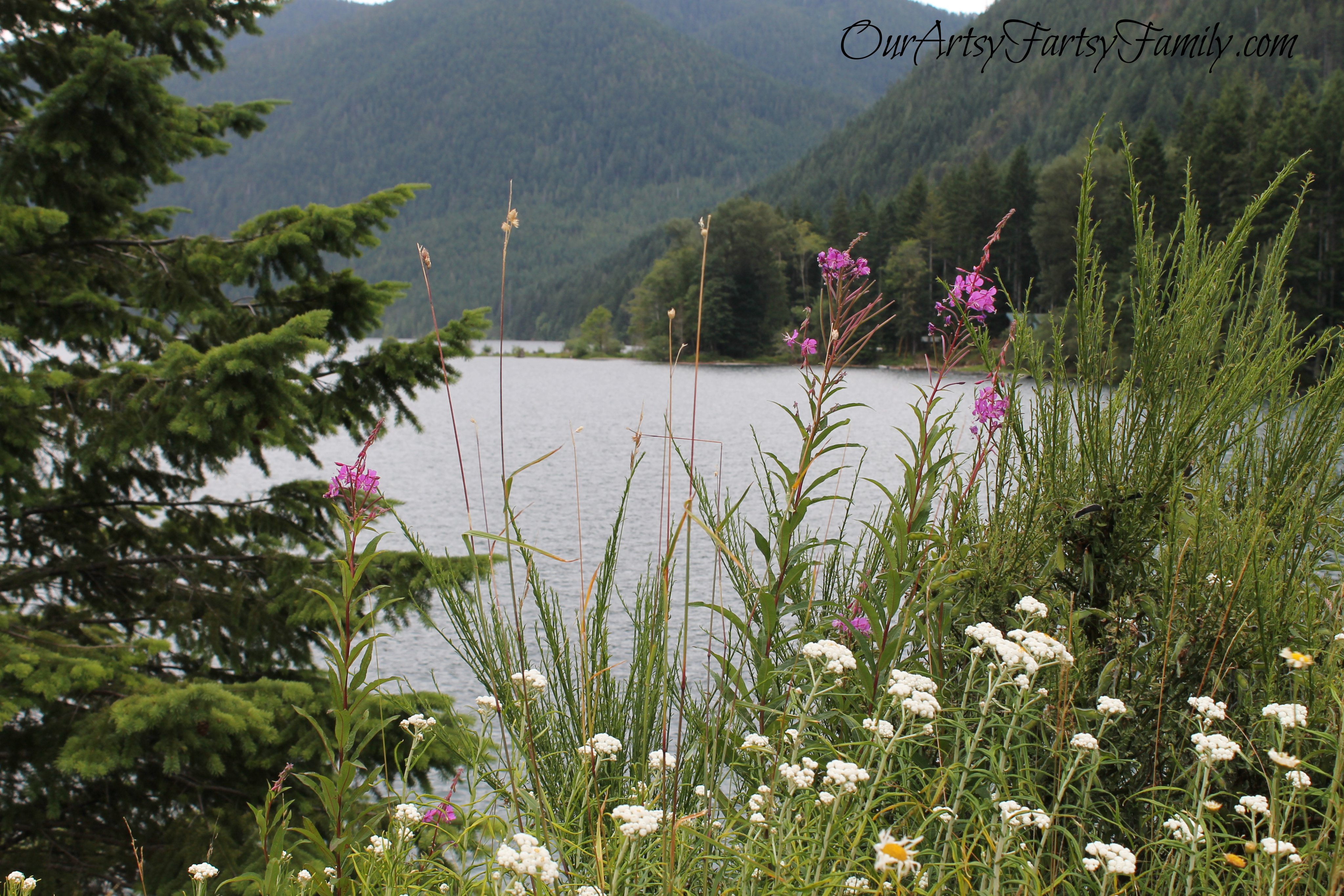 7-11-2020 Lake Cushman Artsy IMG_1080