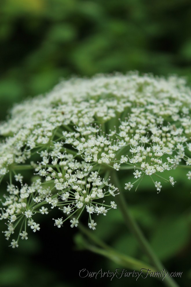 2020-8-8 Theler Artsy IMG_2429