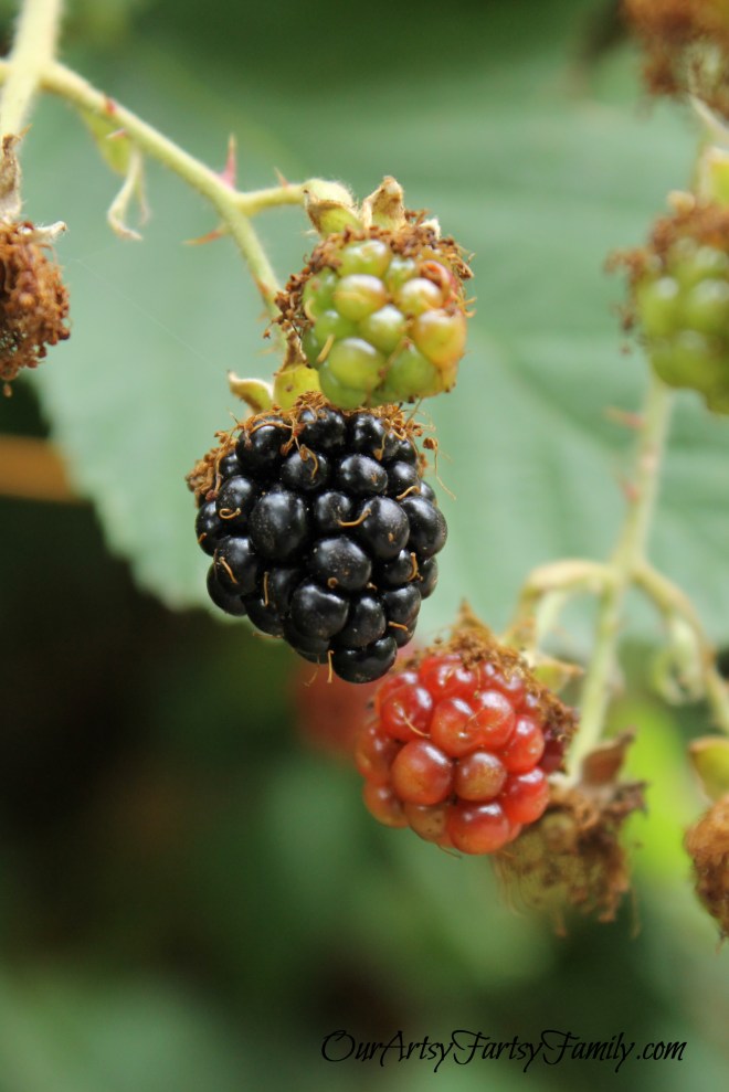 2020-8-8 Theler Artsy IMG_2461